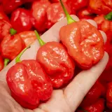 Moruga Sweet Chili Mill 10g