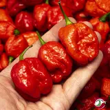 Moruga Sweet Chili Mill 10g