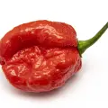 Moruga Sweet