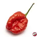 Moruga Sweet