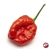 Moruga Sweet Chili Mill 10g