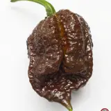 Carolina Reaper, Chocolate