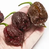 Carolina Reaper, Chocolate