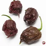 Carolina Reaper, Chocolate