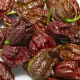 Carolina Reaper, Chocolate