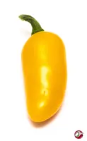 Jalapeno, Orange