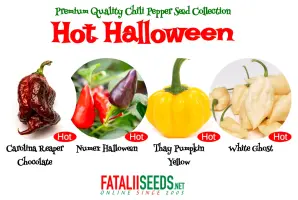 Hot Halloween (Seed Kit)