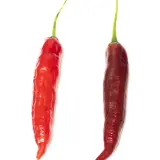 Aji Mojo Fatalii Seeds