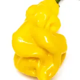 Chili Vault: Goronong - 10g Chili Flakes