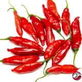 Cumari Colorado Red F7