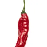 Cumari Colorado Red F7