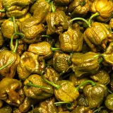 Carolina Reaper, Mustard