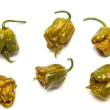 Carolina Reaper, Mustard