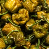 Carolina Reaper, Mustard