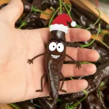 Chili Vault: Mr Hankey - 10g Chili Flakes