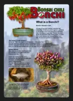 BONCHI – Bonsai Chili Guide (FREE short version)