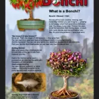 BONCHI – Bonsai Chili Guide (FREE short version)