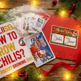 Xmas Chili Gift Combo – Seeds + Mills (Holiday Edition)