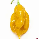 Carolina Reaper, Orange