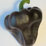 Chile de Onza