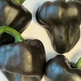 Chile de Onza