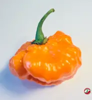 Orange Blob