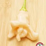 Aji Confusion chili: contorted cream pod on a wooden board