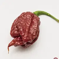 Carolina Reaper, Caramel