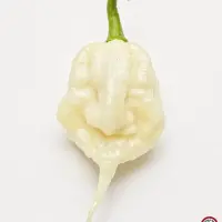 Carolina Reaper, White
