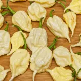 Carolina Reaper, White