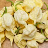 Carolina Reaper, White