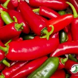Jalapeno Emerald Fire chili: harvest of red and green pods