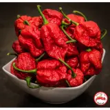 Carolina Reaper