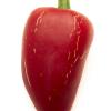 Jalapeno, Rayados