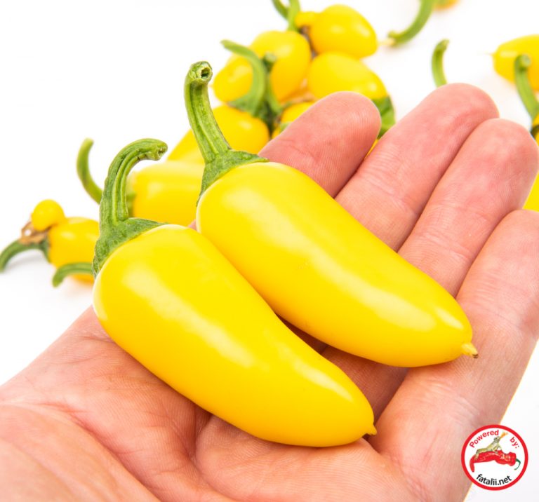 Jalapeno, Lemon Spice Fatalii Seeds