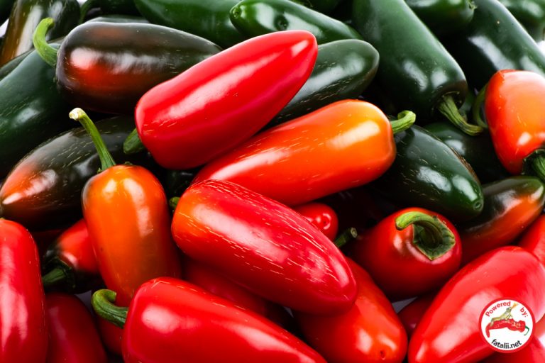 Jalapeno, Mammoth Fatalii Seeds