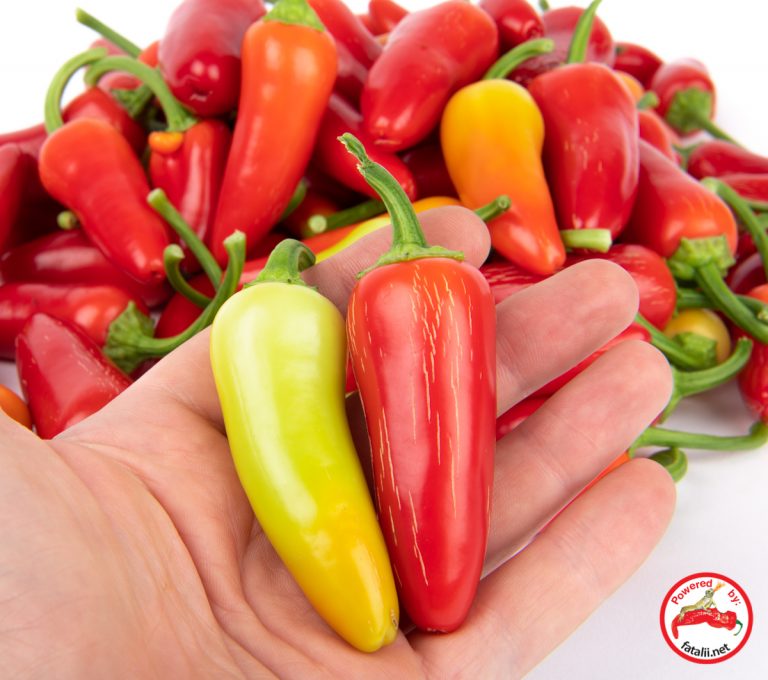 Jalapeno, Craigs’s Grande – Fatalii Seeds