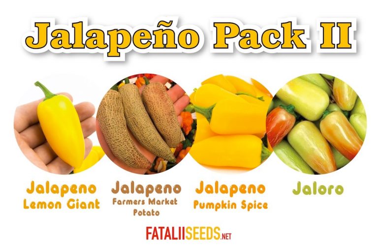 Jalapeno Pack II (Seed Kit) Fatalii Seeds