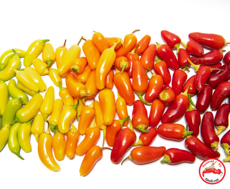 Jalapeno, Numex Pinata Fatalii Seeds