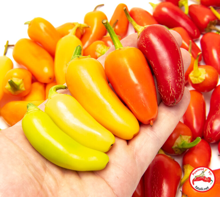 Jalapeno, Numex Pinata Fatalii Seeds