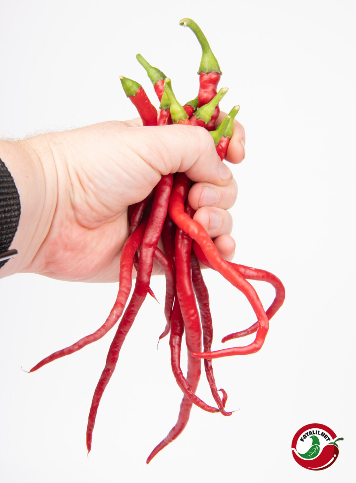 Hair Pepper Fatalii Seeds