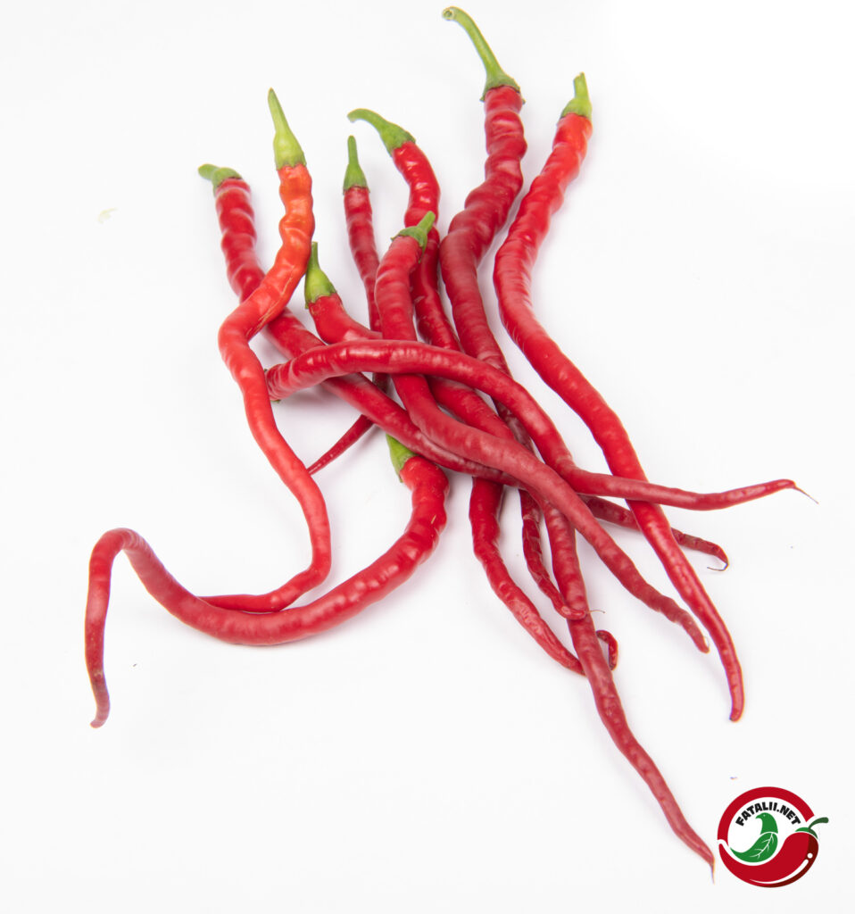 Hair Pepper Fatalii Seeds