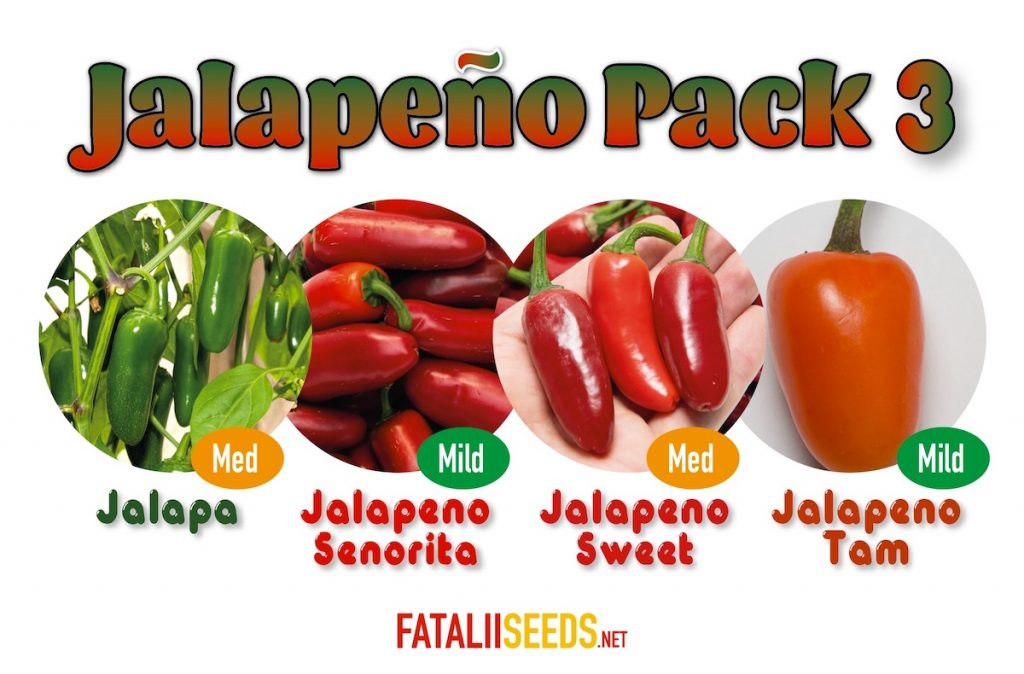 Jalapeno Pack 3 (Seed Kit) Fatalii Seeds