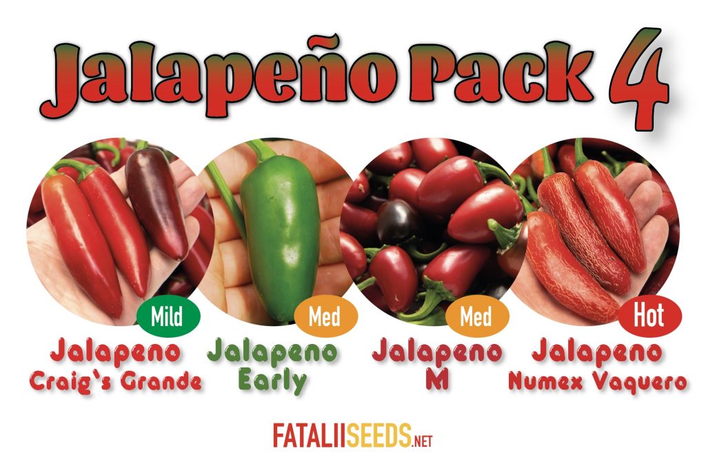 Jalapeno Pack 4 (Seed Kit) Fatalii Seeds