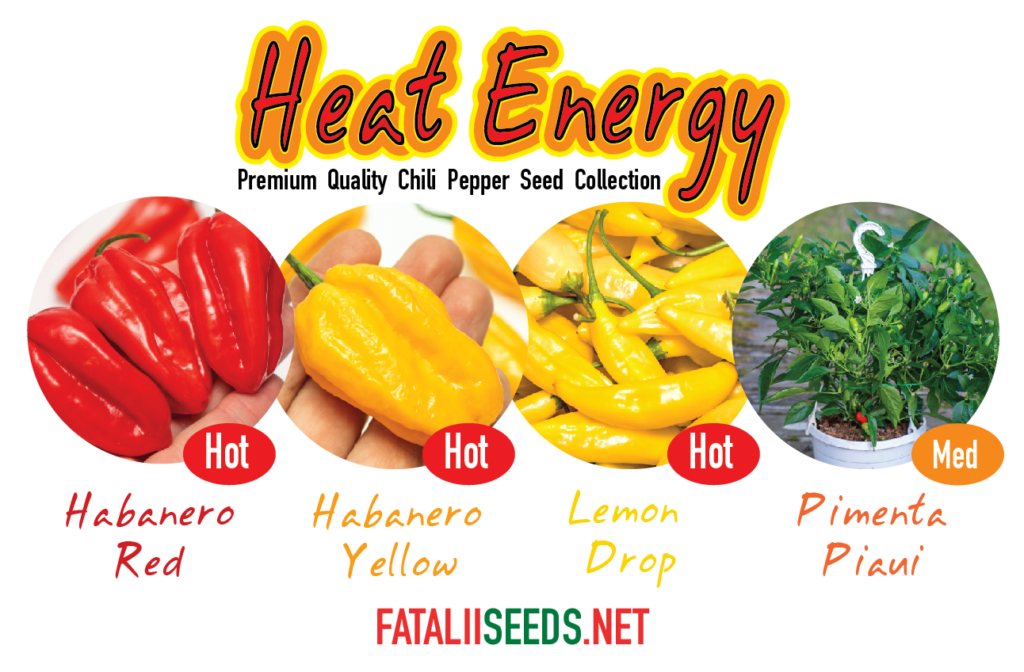 heat-energy-seed-kit-fatalii-seeds