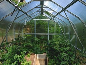 Tarjouspyyntö kasvihuoneesta: Omega Drop terässokkelilla