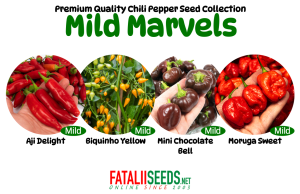 20 x Mild Marvels (Seed Kit)