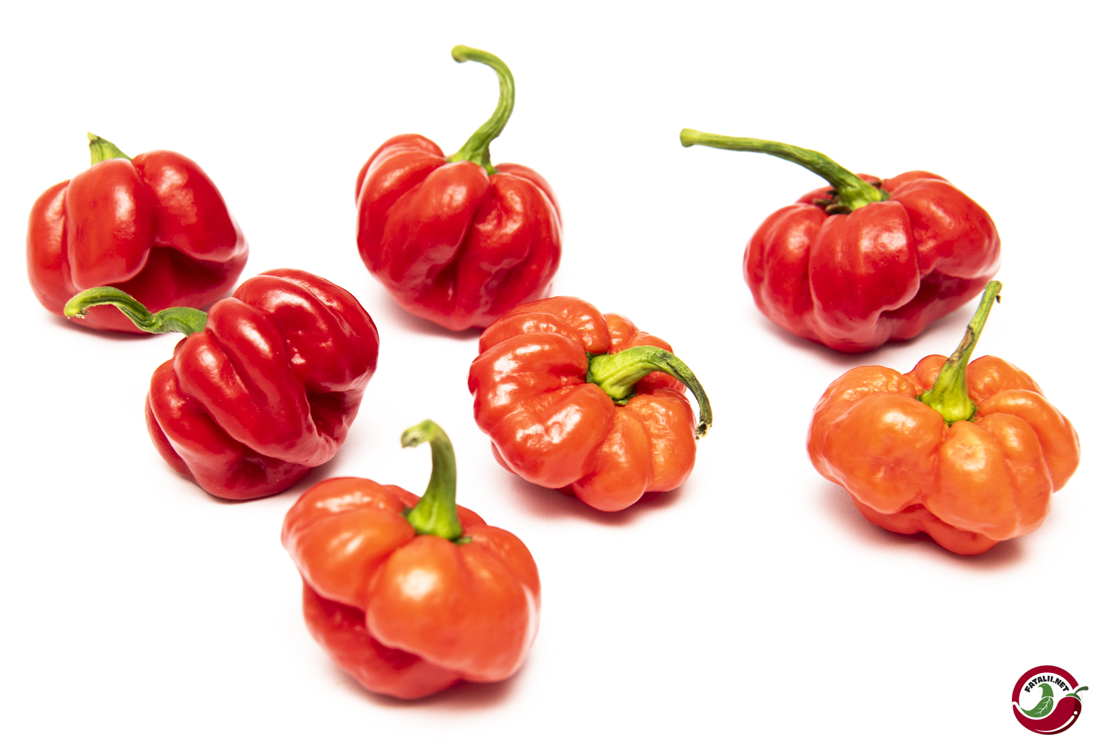 25 Hot Caribbean Moa Yellow Scotch Bonnet Premium Pepper Fresh Seeds Garden