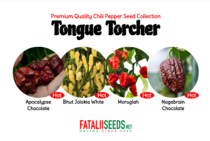 20 x Tongue Torcher (Seed Kit)
