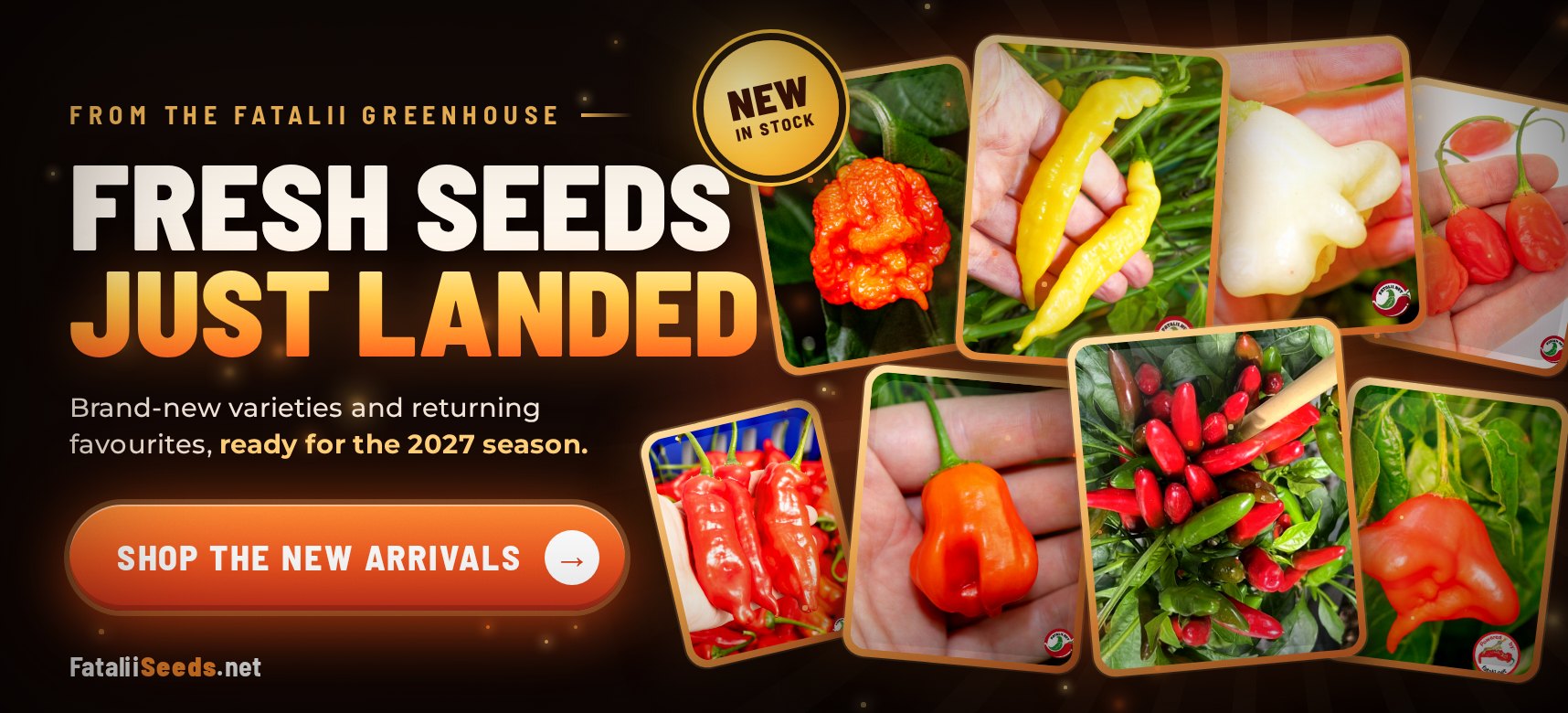 Fresh chili seeds just landed at FataliiSeeds.net – shop the new arrivals